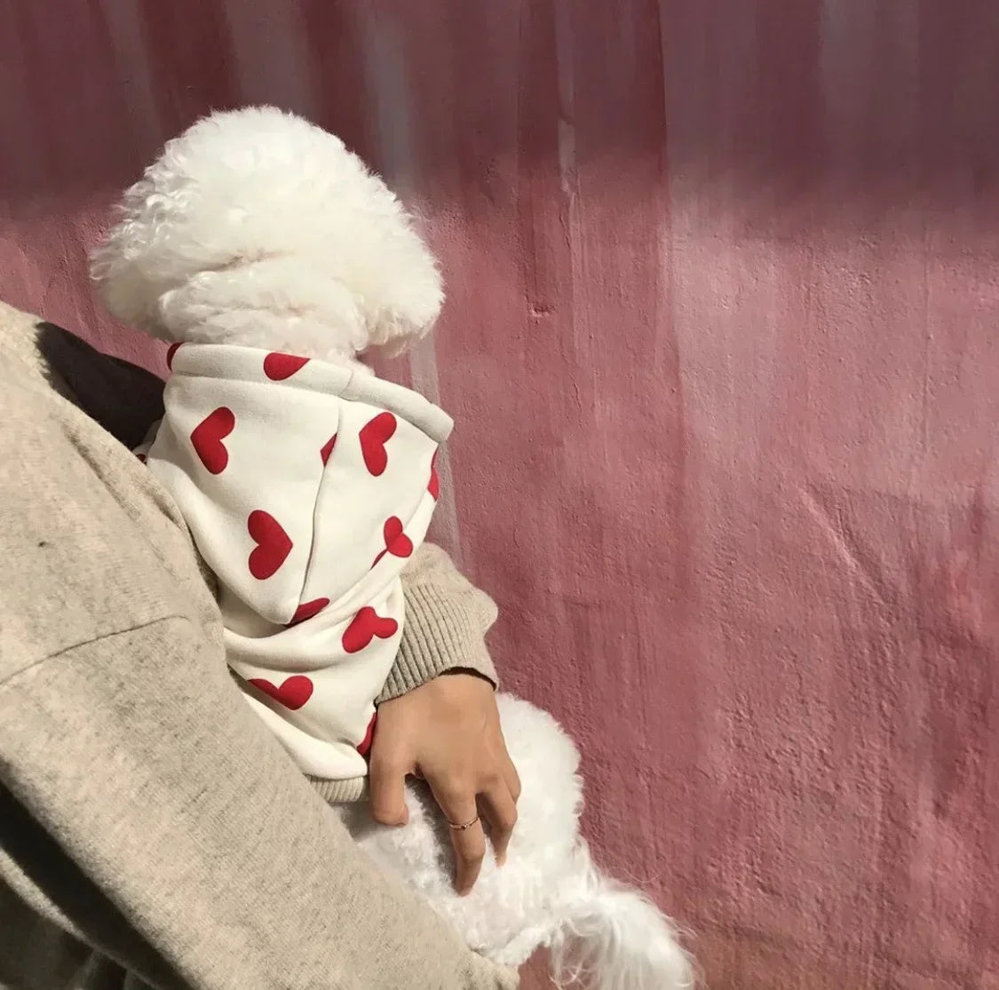 Small Dog's Valentine's Jumpers
