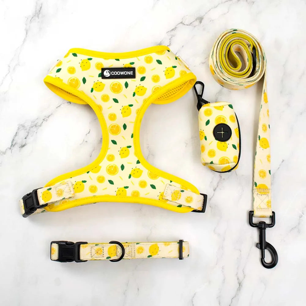 Lemon Harness Set