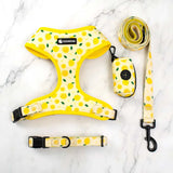 Lemon Harness Set