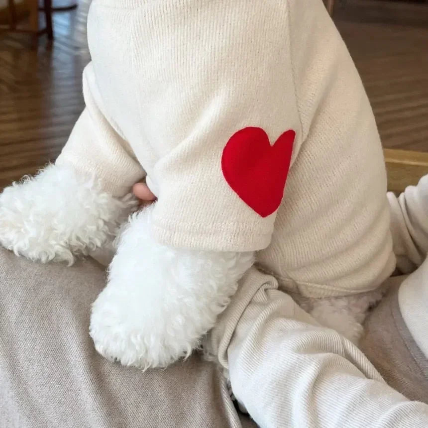 Small Dog Love Jumpers