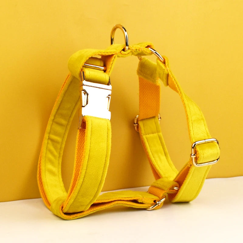 Yellow Velvet Dog Collar Set