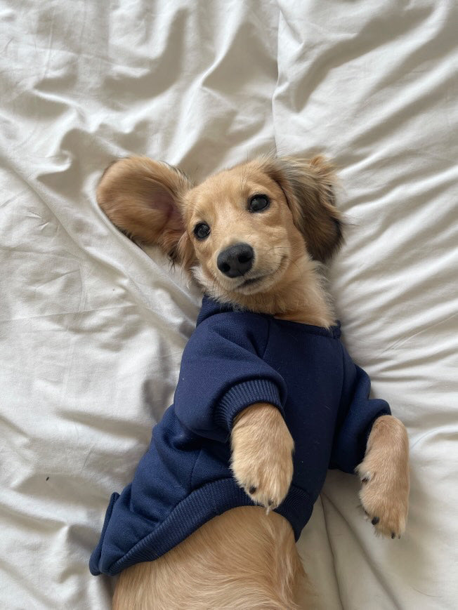 Soft Winter Hoodie
