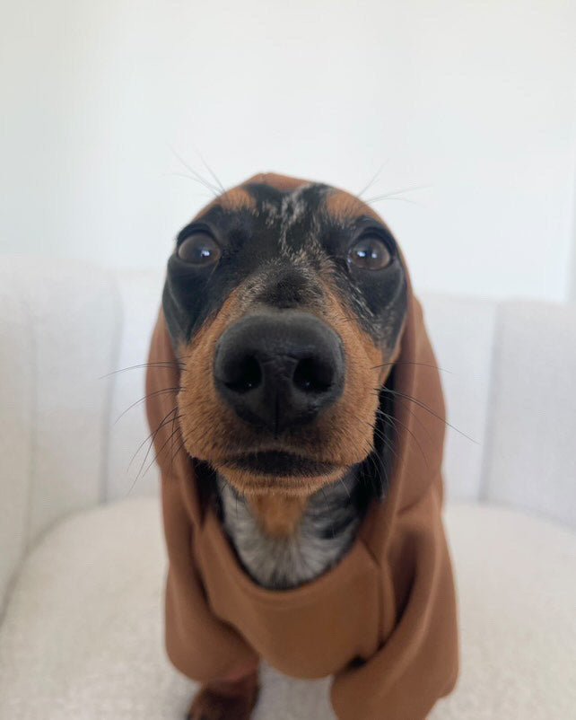 Soft Winter Hoodie