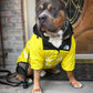 The Dog Face Jacket