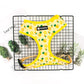 Pineapple Dog Harness Set