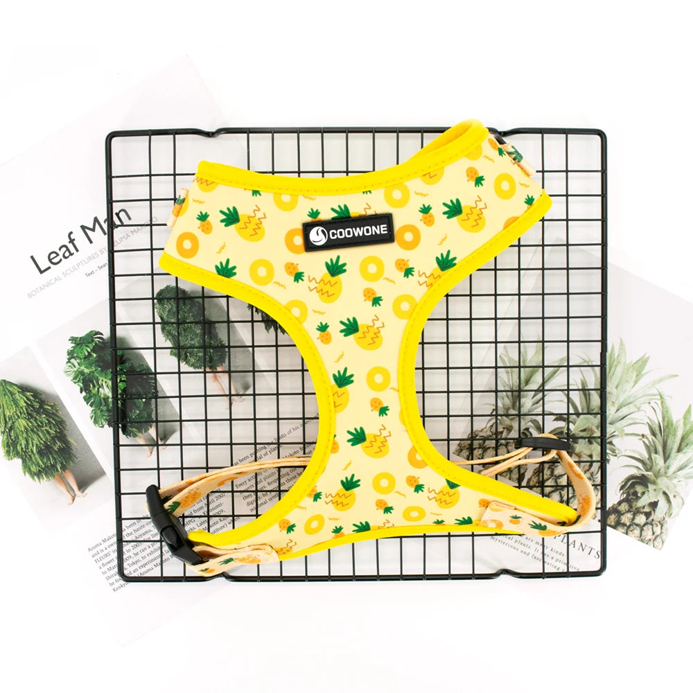 Pineapple Dog Harness Set