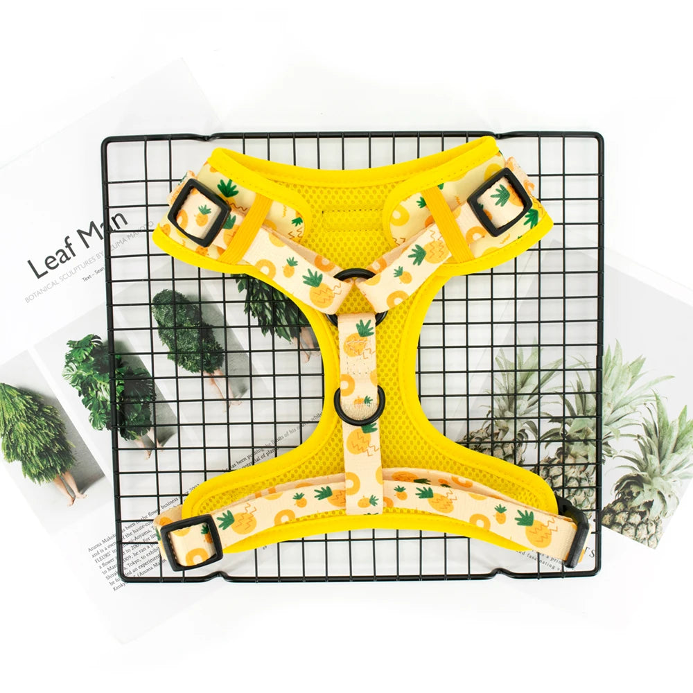 Pineapple Dog Harness Set