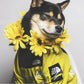 The Dog Face Jacket