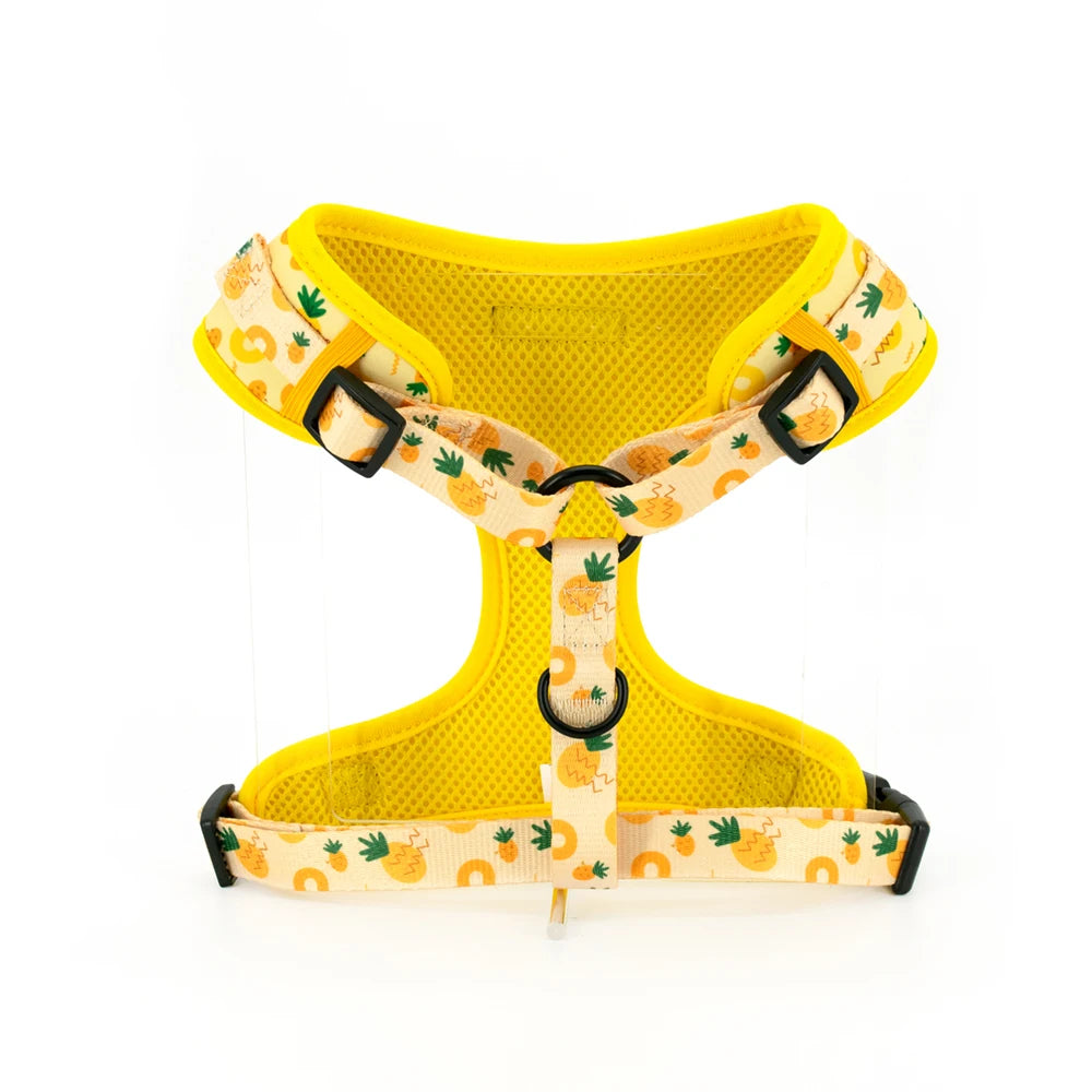 Pineapple Dog Harness Set