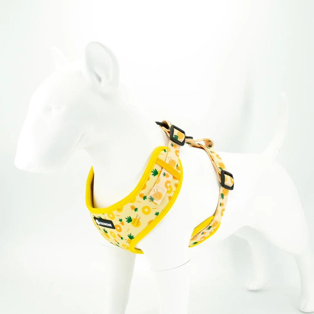Pineapple Dog Harness Set