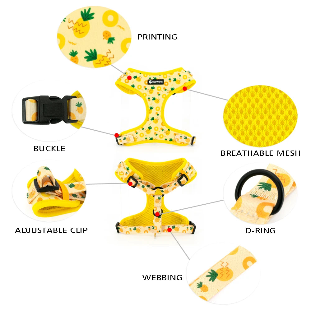 Pineapple Dog Harness Set