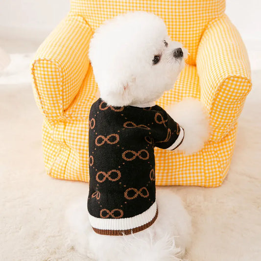 Fashionable Dog Jumper