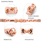 Gingerbread Collar Bow And Leash