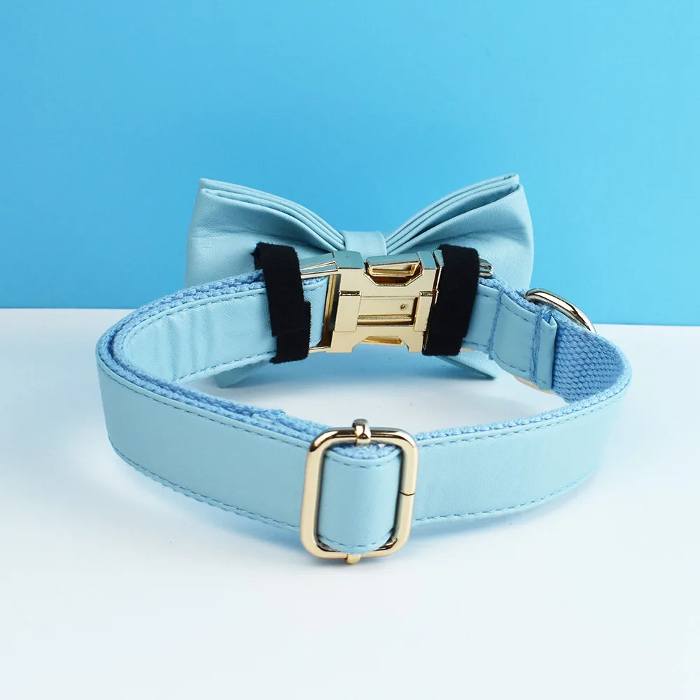 Blue Leather Harness Set