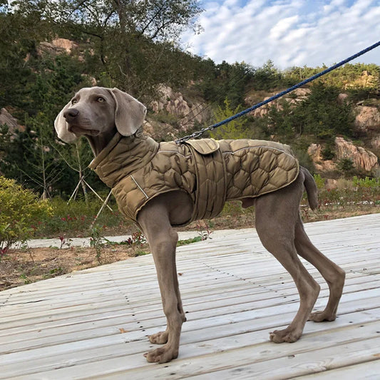 Windproof Soft Quilted Dog Jacket