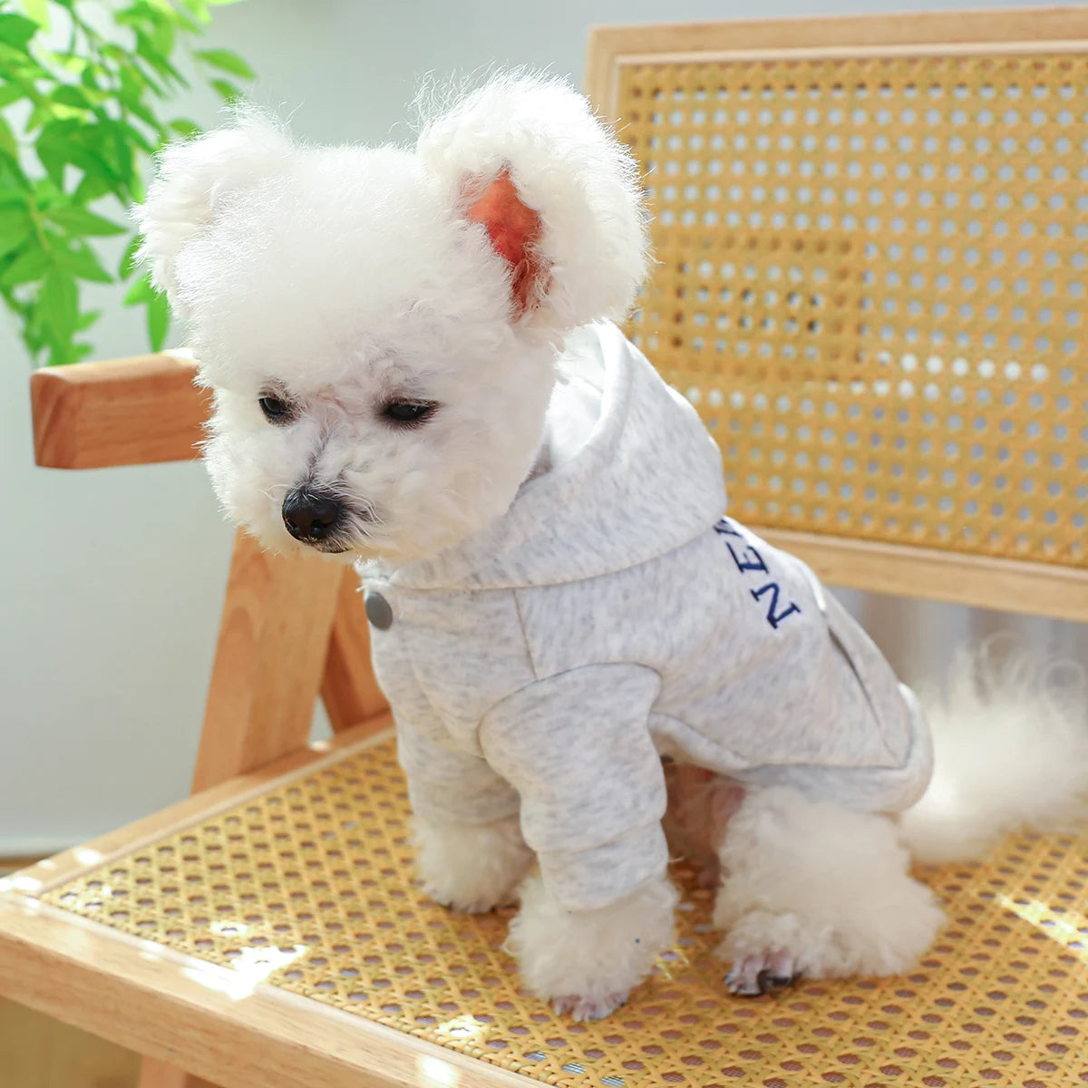 Dog New York Hoodie