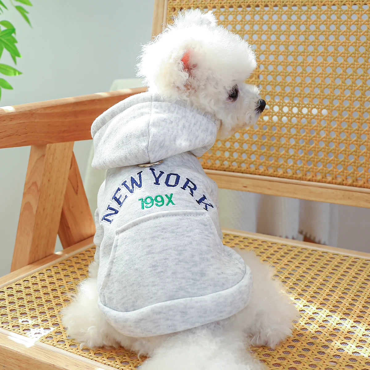 Dog New York Hoodie