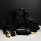 Black Velvet Dog Collar Set