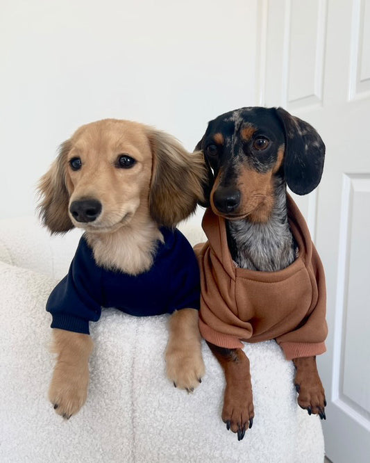 Soft Winter Hoodie
