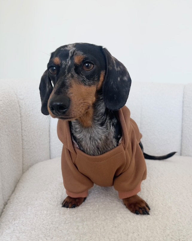 Soft Winter Hoodie