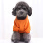 Soft Winter Hoodie