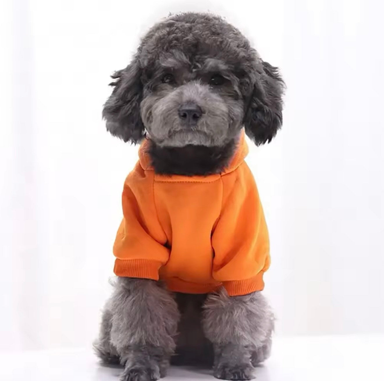 Soft Winter Hoodie