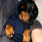 Soft Winter Hoodie