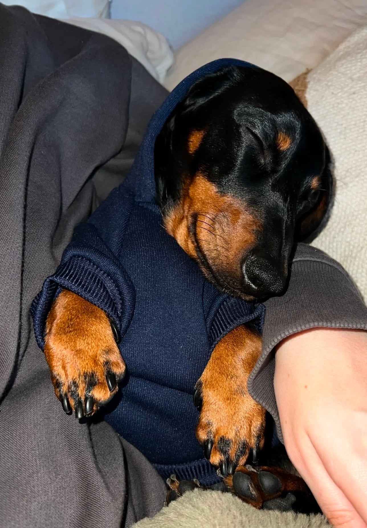 Soft Winter Hoodie
