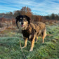 Windproof Soft Quilted Dog Jacket
